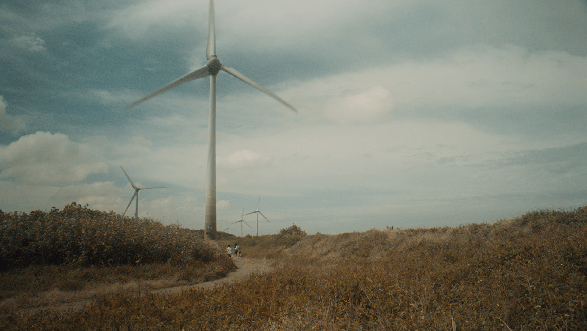 Blowing in the Wind
